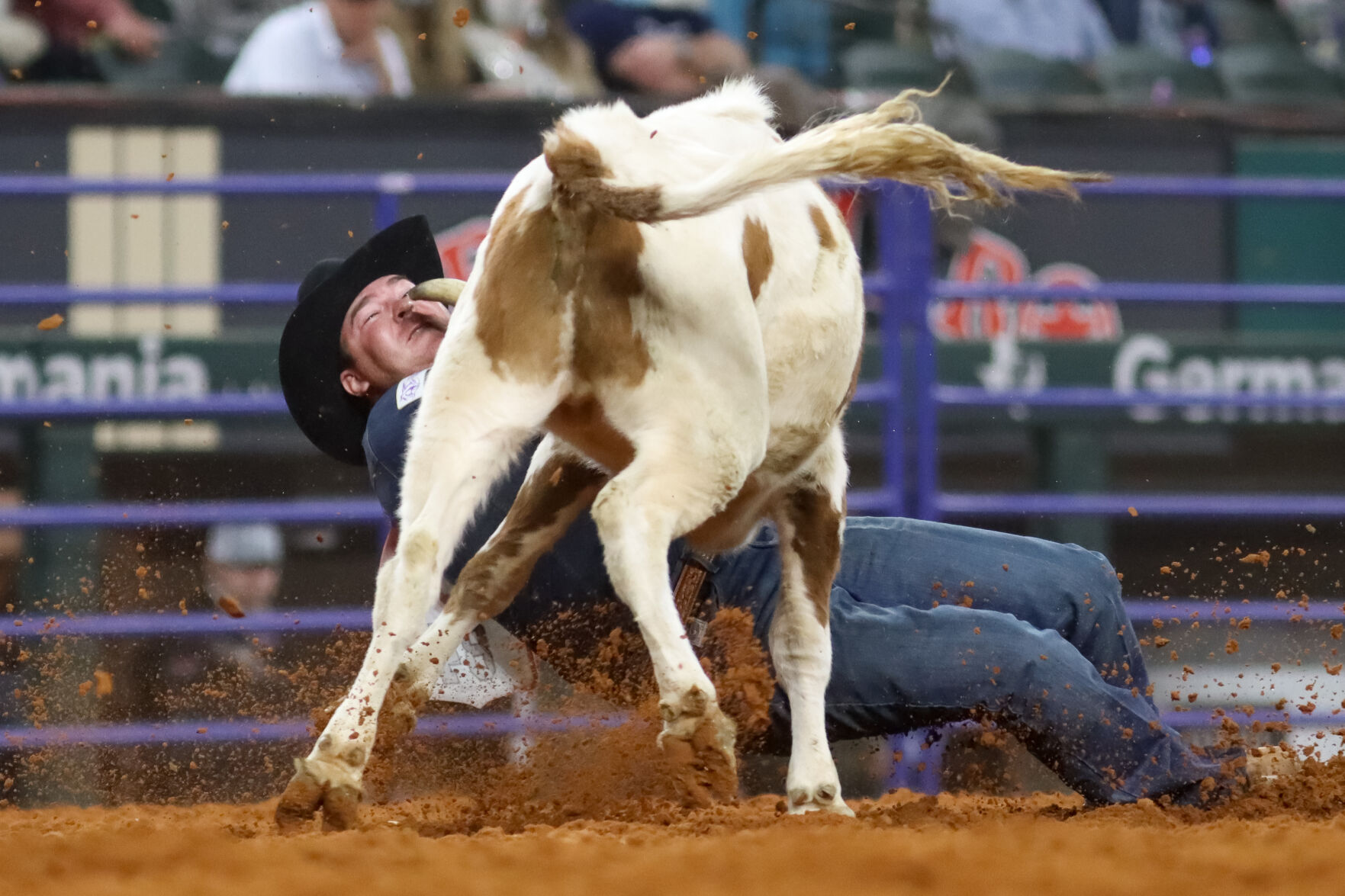 Photos: Arlington hosts Wrangler National Finals Rodeo at Globe Life Field